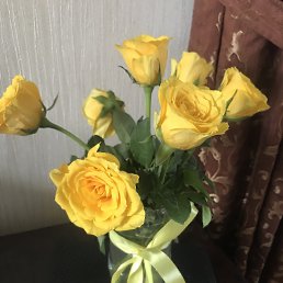���� ����, ������, 54 ���� - ��������� 16 ������� 2024