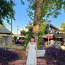 ���� �����, ���������, 55 ��� - ��������� 16 ���� 2026 � ������ ���� ����������