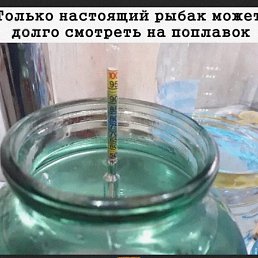 �������, ������, 31 ���