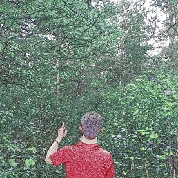 Daler, �����������, 28 ���