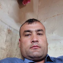 , 37, 