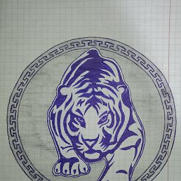 �������, ��������, 41 ���