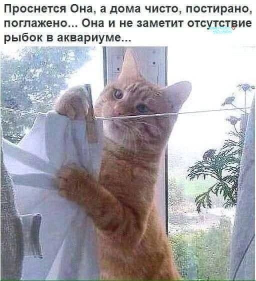   - 10  2025  18:30
