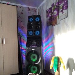 �������, ������, 40 ���