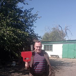, 48, 