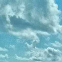 ������, ������, 37 ���