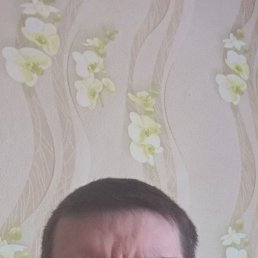 ���������, 61 ���, �����