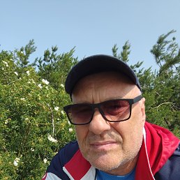 , 59, 