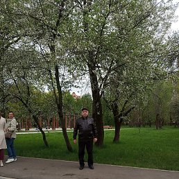 , , 56 