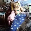 ���� ������ � ������, ������, 52 ���� - ��������� 19 ������� 2025 � ������ ���� ����������