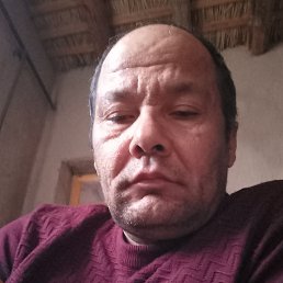 , 48, 