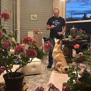 ������, 64 ����, �����������