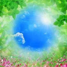 ����, ���������, 48 ���