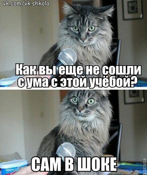 ☆   ☆ - 24  2025  06:29