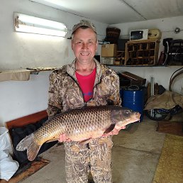 ������, 45 ���, ������ ��������