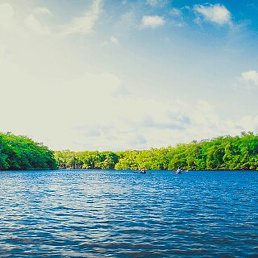 �����, ������ ��������, 59 ���