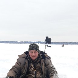 , 41, 