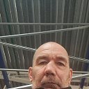 ���� ˸��, ����, 54 ���� - ��������� 9 ������� 2026 � ������ ���� ����������