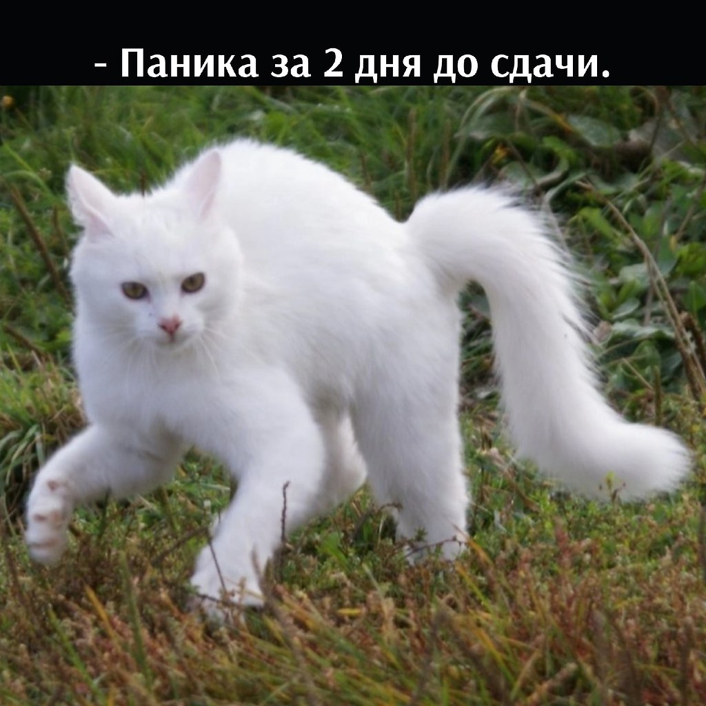 ��� ���� � ����� �� �� - 20 ��� 2026 � 13:25 - 4