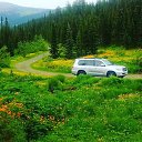 ���� ������, ������ - ��������� 26 ������� 2025 � ������ ���� ����������