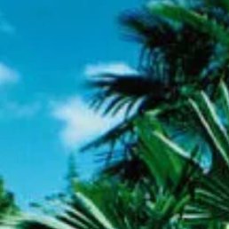 Karen Matevosyan, ������, 61 ���