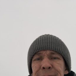 , 41, 