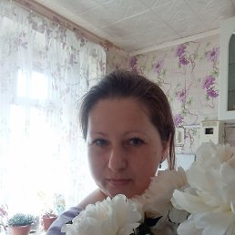 �����, ��������, 39 ���