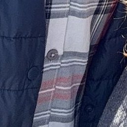 ����������, ����-���������, 47 ���