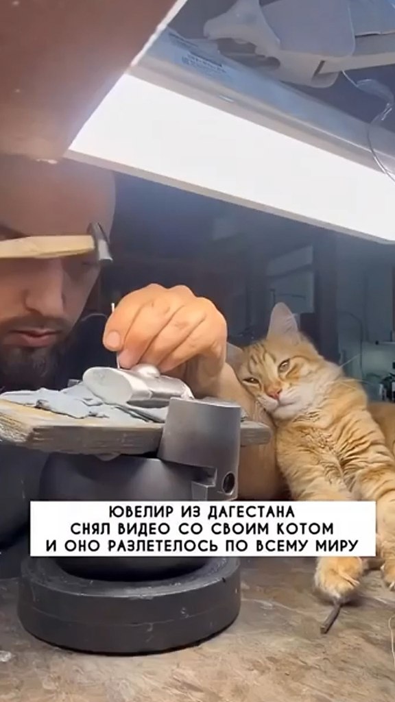��������� ���������� ��� ���������� ������ ���������.� ���� �������� ������������ ����� � �������� ... - 2