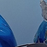 ����, 39 ���, ������