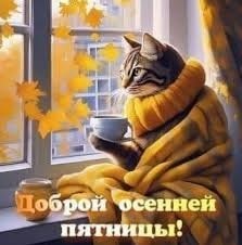 ОБО ВСЕМ - 24 октября 2025 в 12:22