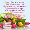 ���� ���������, ��������, 46 ��� - ��������� 8 ����� 2026 � ������ ������ ��������
