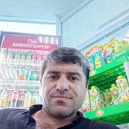 , 41, 