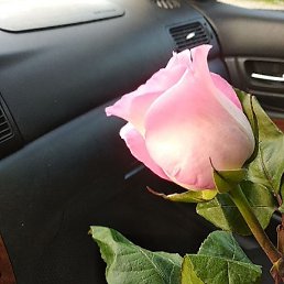 ������, ��������, 30 ���