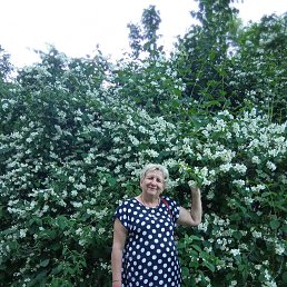 , 61, 