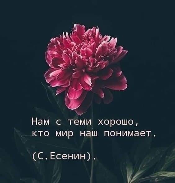    - 17  2025  17:53