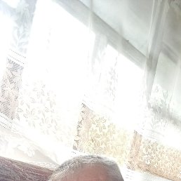 , 44, 