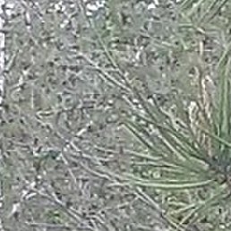 ����, ������������, 44 ����