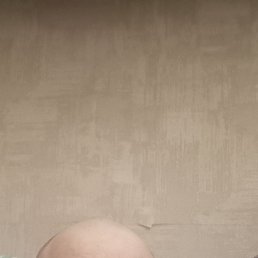 ������, 42 ����, ��������