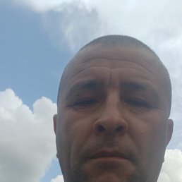 , 40, 