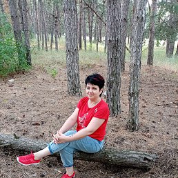 , 53, 