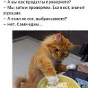 ���� ����, ��������� - ��������� 3 ����� 2026 � ������ ������ ��������