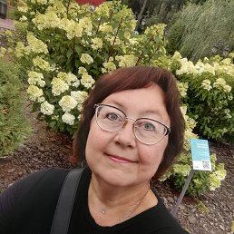 , 52, 