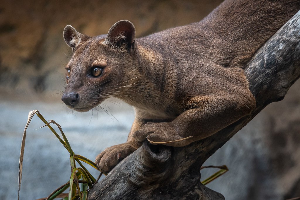 ! !     . ,  .      ... - 5