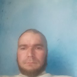 , 41, 