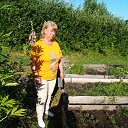 ���� �������, ������, 66 ��� - ��������� 23 ���� 2025 � ������ ���� ����������