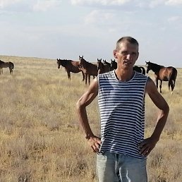 ���� ����, ������, 52 ���� - ��������� 24 ������� 2025