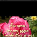 ���� �������, ���������, 54 ���� - ��������� 7 ������ 2026 � ������ ���� ����������