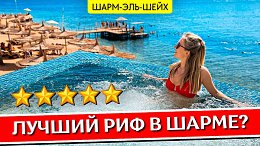   Reef Oasis Blue Bay 5* -   , :  ,  