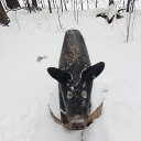 ���� ���������, ������������ - ��������� 28 ������ 2025 � ������ ���� ����������